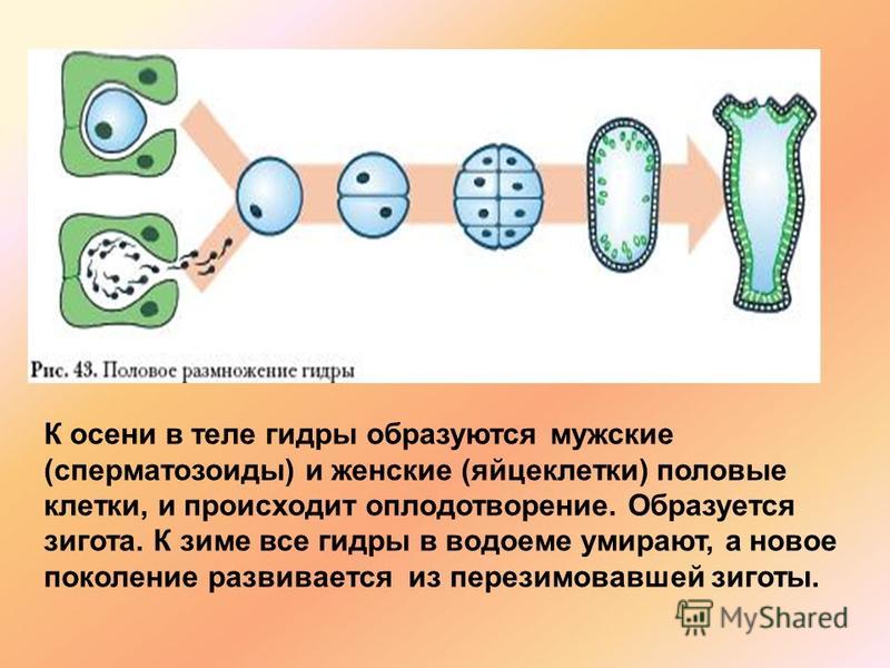 Восстановить доступ к кракену